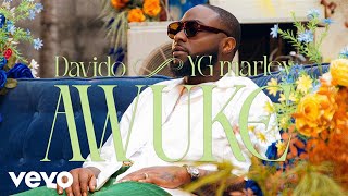 Davido YG Marley  Awuke Official Video [upl. by Elyrpa154]