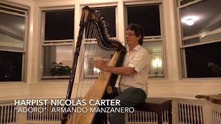 Harpist Nicolas Carter plays Adoro by Armando Manzanero [upl. by Berneta]