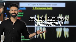 Introduction to dental anatomy 1 ‘’new course‘‘ [upl. by Aratihc]