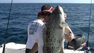 Bottom Fishing for Grouper and Snapper [upl. by Franzen]