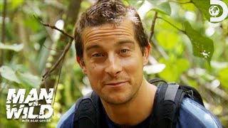 Bear Grylls Reveals His Best Jungle Survival Tips  Man vs Wild  Discovery [upl. by Racso]