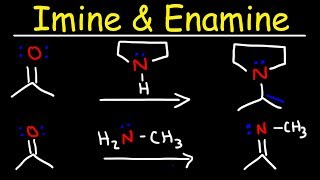 Imine and Enamine Formation Reactions With Reductive Amination [upl. by Anawat]