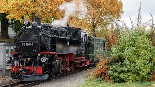 99 749  złota jesień na Zittauer Schmalspurbahn 20231104 [upl. by Mariska544]