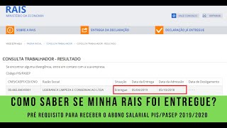 Não Recebeu seu PisPasep  Como saber se o seu patrão entregou sua Rais [upl. by Nnairak112]