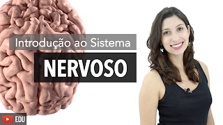 Sistema Nervoso 16 Introdução  Anatomia e etc [upl. by Far]