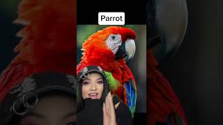 Animale fara blana  😳😱 duet with HOW THINGS HAPPEN 🌎 scary blana animale sarahjsun react [upl. by Cilka647]