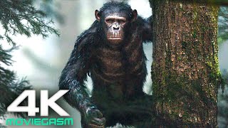 Kingdom Of The Planet Of The Apes 2024 4K UHD  New Upcoming Movies [upl. by Acimat]