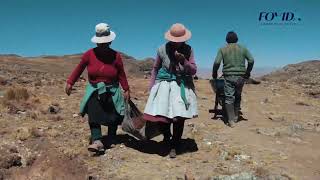 Medidas de mitigación y adaptación frente al cambio climático en la sierra selva central [upl. by Layod]