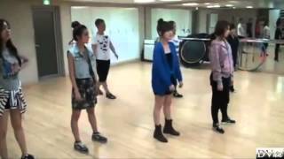 T ARA  Roly Poly dance practice DVD [upl. by Iknarf]