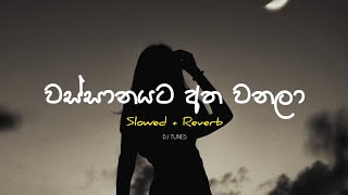 Wassanayata Atha Wanala SlowedReverb වස්සානයට අත වනලා  Umara Sinhawansa [upl. by Neilla610]