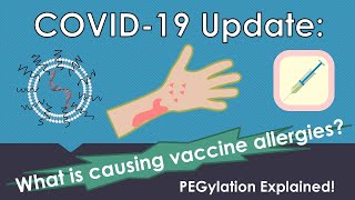 COVID Update  Vaccine Allergies  What is polyethylene glycol  PEGylation Explained [upl. by Bobinette929]