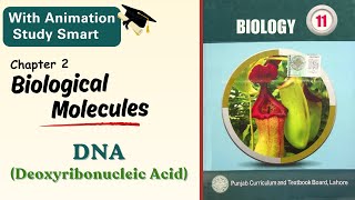 DNA Deoxyribonucleic acid  100 concept clear  Chapter 2  Class 111st year  Punjab biology [upl. by Norris]