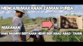 mencari makanan zaman purba dulu kala [upl. by Cantone]