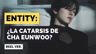 ENTITY  ¿LA CATARSIS DE CHA EUNWOO REEL VER [upl. by Afirahs]