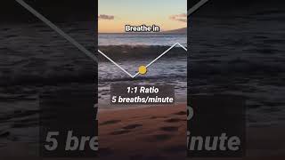 Breathing Exercise for Fast Heartbeat relaxing breathing meditation [upl. by Reifnnej]