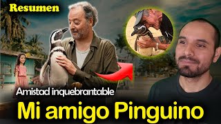 🐧 Mi amigo Pinguino Resumen  Un Vinculo PATERNO y de AMISTAD Trascendente [upl. by Alfie]