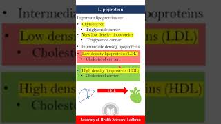 Lipoproteins HDL vs LDL  Biochemistry  by Imran Yaseen [upl. by Geralda634]