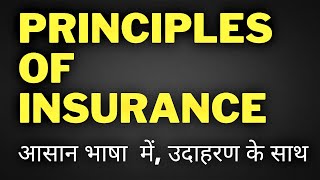 Principles of Insurance Explained  Principles of Insurance in Hindi with Examples [upl. by Elocan611]