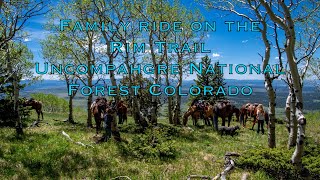 Family Ride on the Rim Trail Uncompahgre National Forest Colorado [upl. by Sara-Ann]