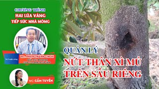 QUẢN LÝ NỨT THÂN XÌ MỦ SẦU RIÊNG  DR HAI LÚA VÀNG [upl. by Nosila]