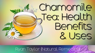 Chamomile Tea Benefits and Uses [upl. by Nwatna]