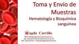 Toma y envío de muestras para hematología en Medicina Veterinaria [upl. by Nuahs813]