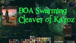 How to get BOA Swarming Cleaver of Karoz  Sum4Seb WoW Video [upl. by Kinata189]