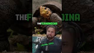 Unbelievable Discovery Rarest Animal Found After 114 Years ft Forrest Galante amp Joe Rogan [upl. by Nuhsed51]