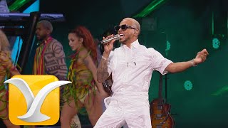 Ozuna  Te Vas  Dile que tú me quieres  Festival de la Canción de Viña del Mar 2020  Full HD [upl. by Nel]