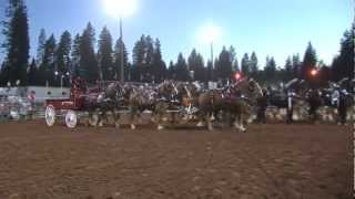 Draft Horse Classic  Nevada County Fairgrounds Grass Valley California [upl. by Ahsiekan920]