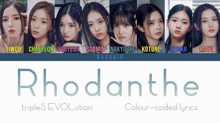 tripleS트리플에스 EVOLution  Rhodanthe Colourcoded lyrics [upl. by Hsirehc]