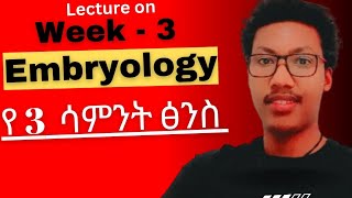 Week  3️⃣ Embryology የሦስተኛው ሳምንት የፅንስ እድገት gastrulation third week embryo development ethiopia [upl. by Ailedua827]