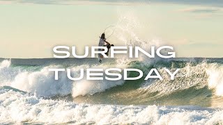 Temporada de vento ruim na Gold Coast  Surfing Tuesday [upl. by Meibers]