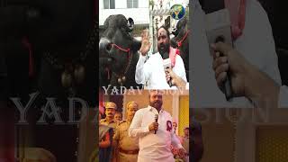 Baahubali Dunna Laddu Yadav in Skanda Movie  స్కంద మూవీ లో బాహుబలి దున్న లడ్డు యాదవ్  sadar [upl. by Rekrap]