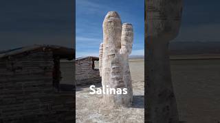 Salinas Grandes Argentina motosviagenseaventuras [upl. by Nnyllaf]