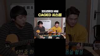 코드변환의 비밀 CAGED 시스템 [upl. by Ecaidnac]