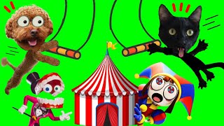 CREO THE AMAZING DIGITAL CIRCUS con Pomni y Jax vs juegos para gatos Luna y Estrella  DIY [upl. by Ainigriv]