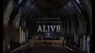 David Attenboroughs Natural History Museum Alive Trailer  Wildscreen Festival 2014  Submission [upl. by Roice120]