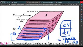 Physical pharmacyRheology viscosity and fluidity [upl. by Raamal834]