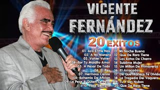 VICENTE FERNANDEZ🍺VICENTE FERNANDEZ SUS MEJORES EXITOS [upl. by Yrrehs]