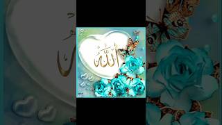 Islamic DP 🤲🕌🤲🕌 please subscribe 👍🏼😊 [upl. by Gorski]