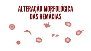 Principais ALTERAÇÕES MORFOLÓGICAS das hemácias POIQUILOCITOSES [upl. by Esinad]