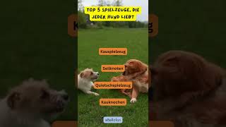 Top 5 Spielzeuge die jeder Hund liebt hunde bellofon [upl. by Ellersick]