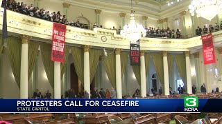 ProPalestinian demonstrators halt proceedings at California Assembly [upl. by Ashton]