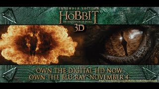 The Hobbit The Desolation Of Smaug  Behind The Scenes Extended Edition [upl. by Fulvia]