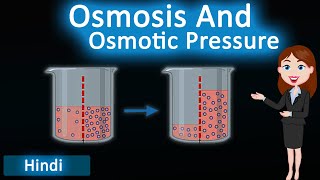 Osmosis and Osmotic Pressure  3D Animated Explanation  class 12th chemistry  Solutions [upl. by Jaymee]