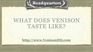 What Does Venison Taste Like  Venison HQ [upl. by Franek993]