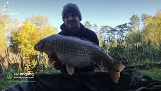 BIG common carp tacking dimmocks pit 2 [upl. by Namaan]