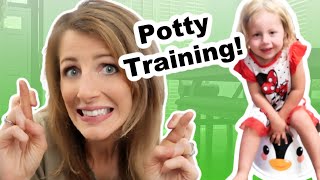 Potty Training in 3 Days [upl. by Lanfri]