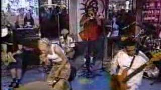 No Doubt  Spiderwebs live on MuchMusic 96 [upl. by Ilrak]